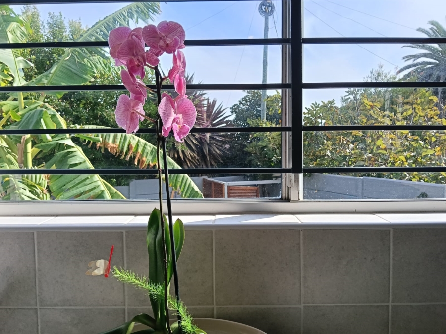 To Let 2 Bedroom Property for Rent in Vermont Western Cape